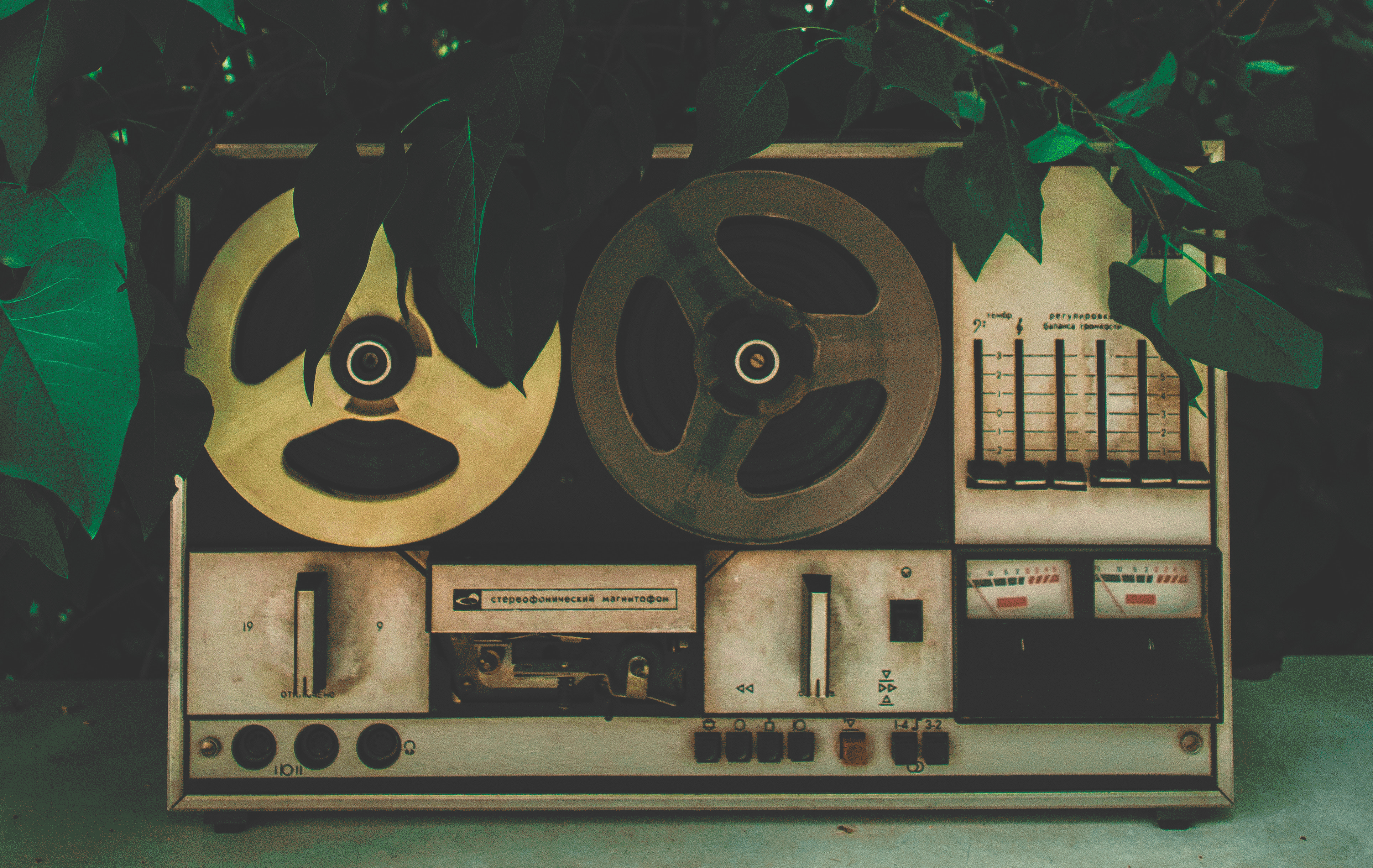 Reel-to-reel tape recorder surrounded by leaves and tree branches.