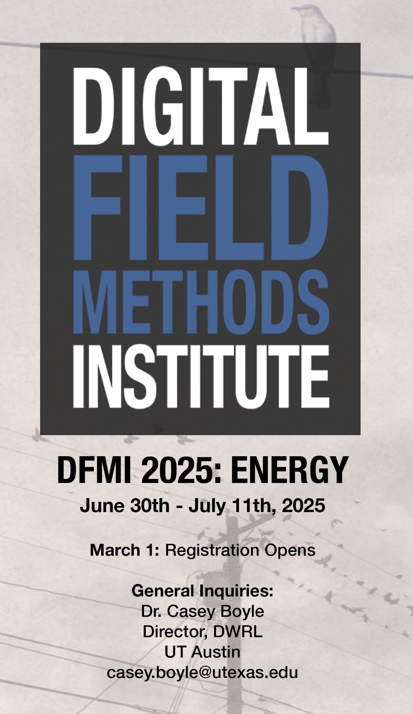 Flyer for DFMI 2025: Energy. 
Happening June 30th-July 11th, 2025. Registration opens March 1. 
Direct inquiries to casey.boyle@utexas.edu